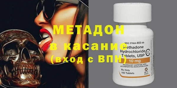 прущие грибы Алзамай