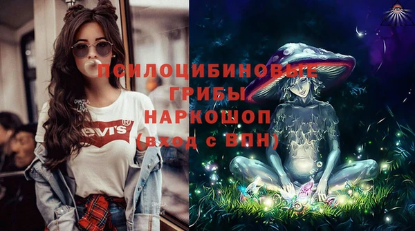 прущие крисы Абаза