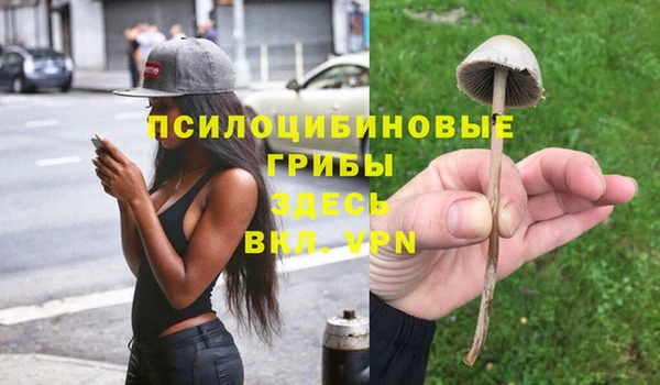 таблы Осинники