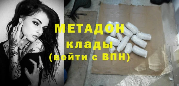 прущие грибы Алзамай